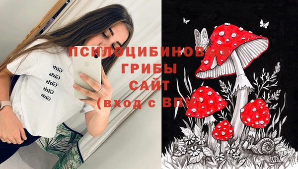 стафф Киренск