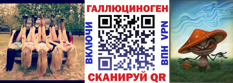 Купить  Инсар  Псилоцибиновые грибы Cubensis 